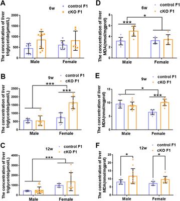 Imbalance hepatic metabolism homeostasis in the F1 generation of endometrial DNMT3B conditional knockout female mice